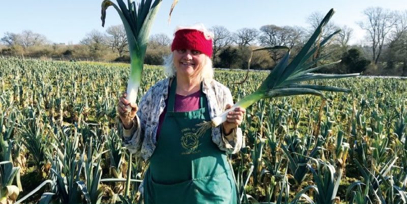 Laines-organic-farm-cuckfield